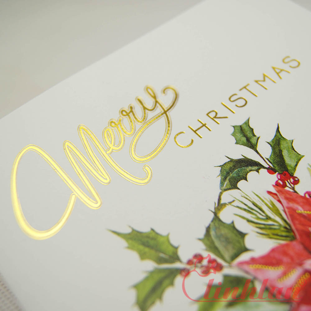 CA4 - 01115 (13x18cm) image 3